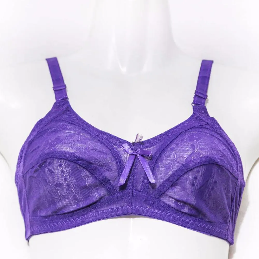 Net Non Padded Bra - Purple - See Through Bra