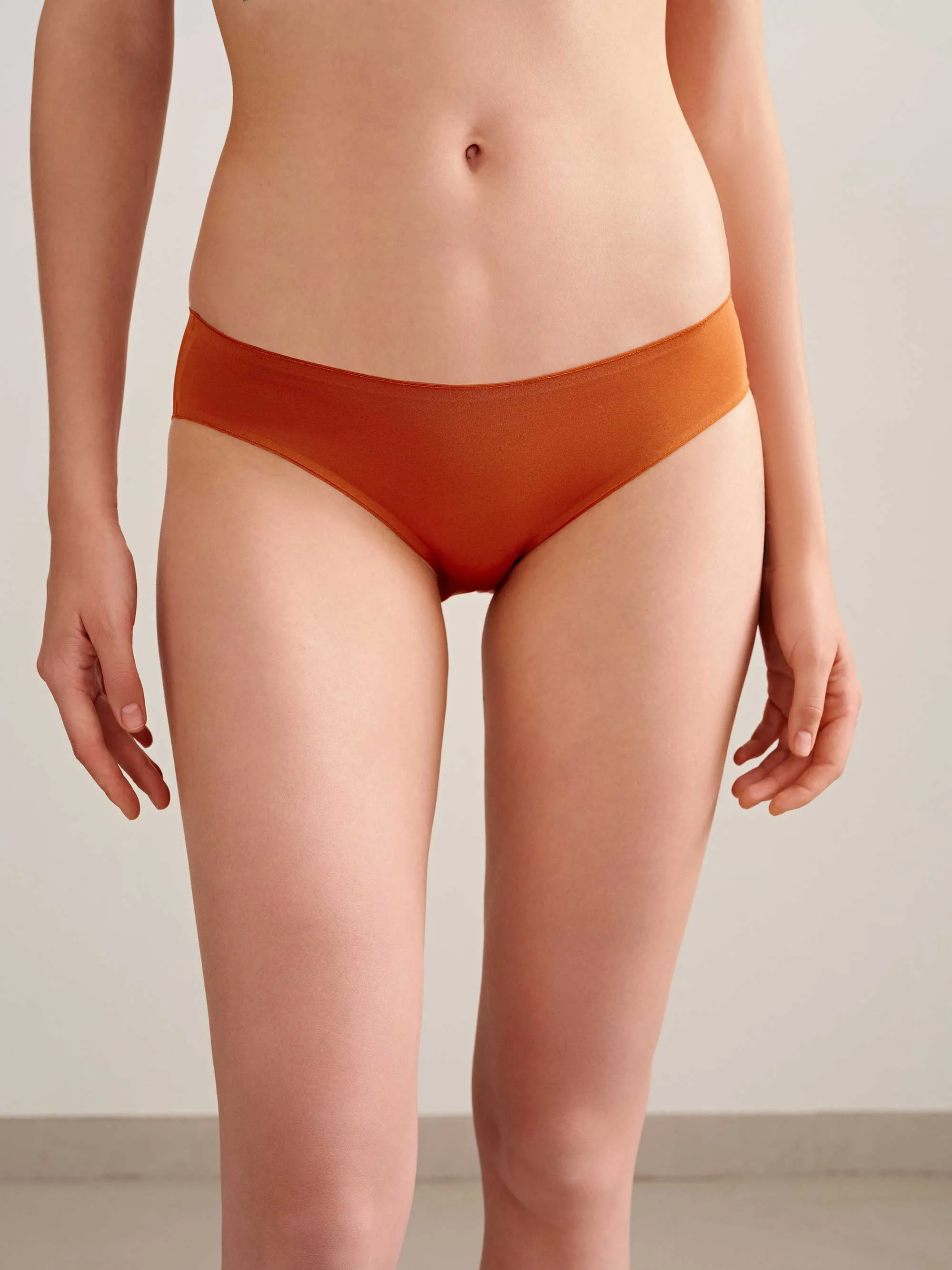 Shimmer Low Waist Brief