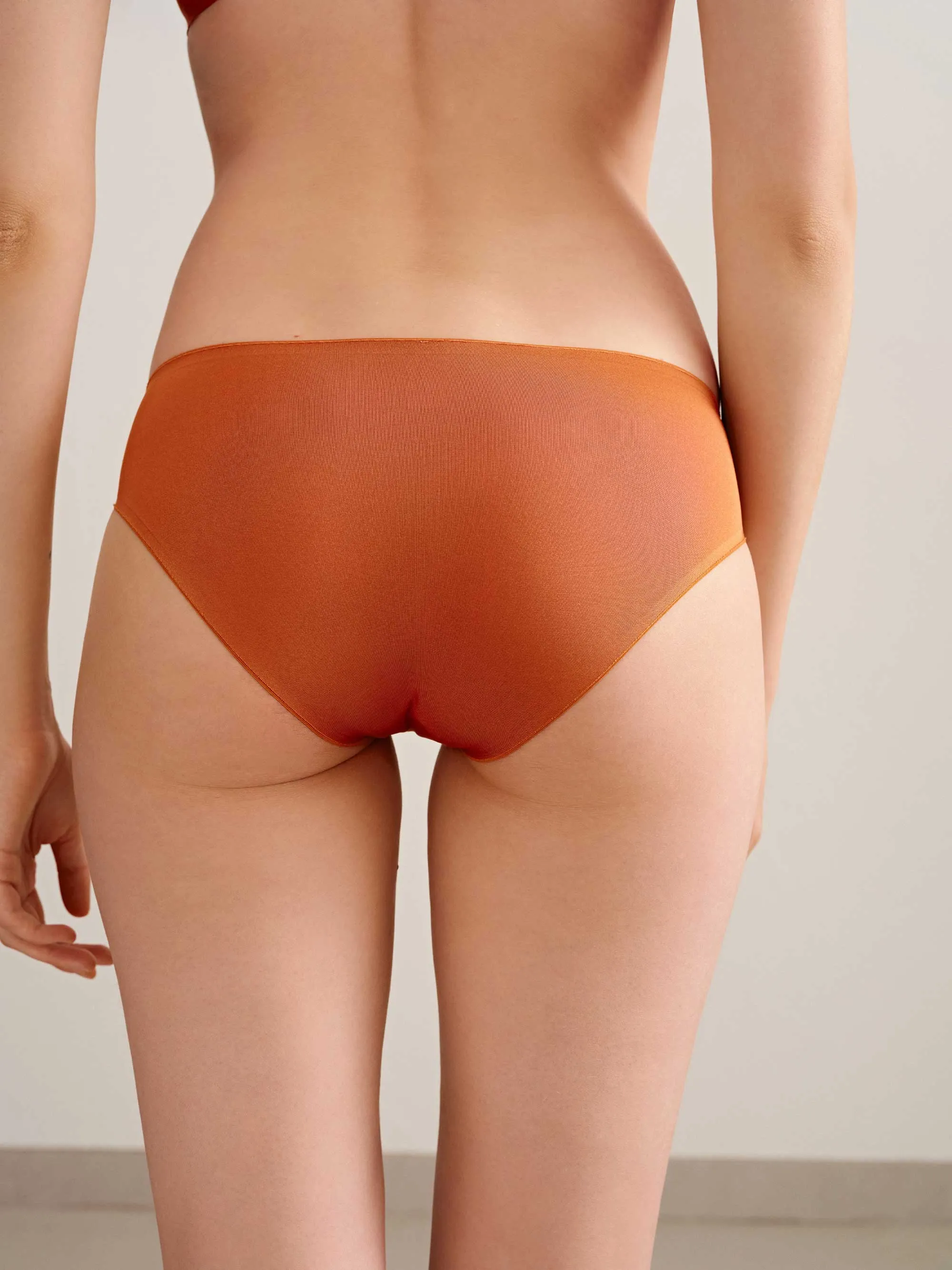 Shimmer Low Waist Brief